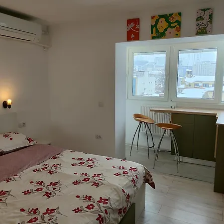 Apartament Cochet Piata Victoriei Bucharest Exterior photo
