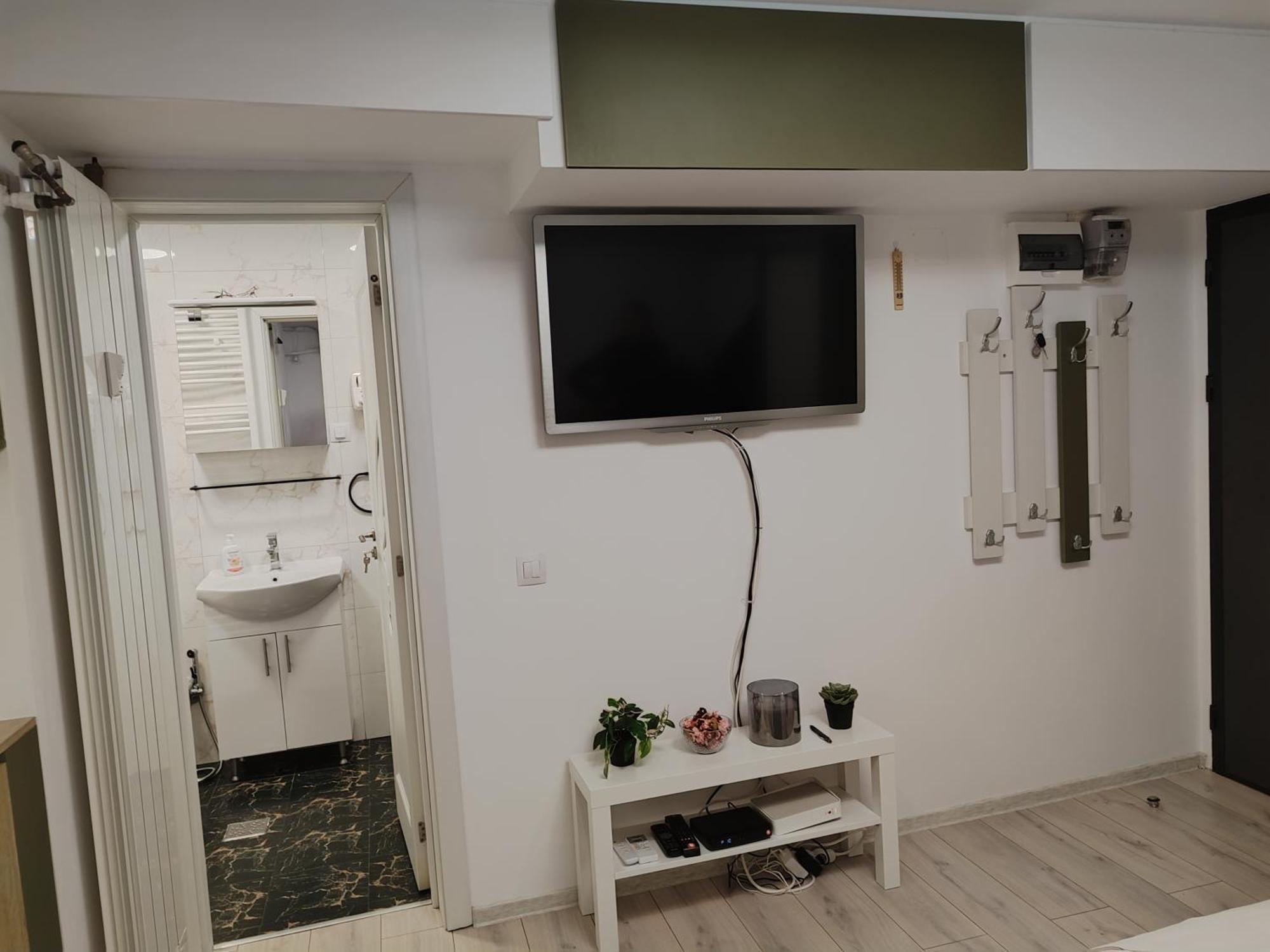 Cochet Piata Victoriei Apartment *