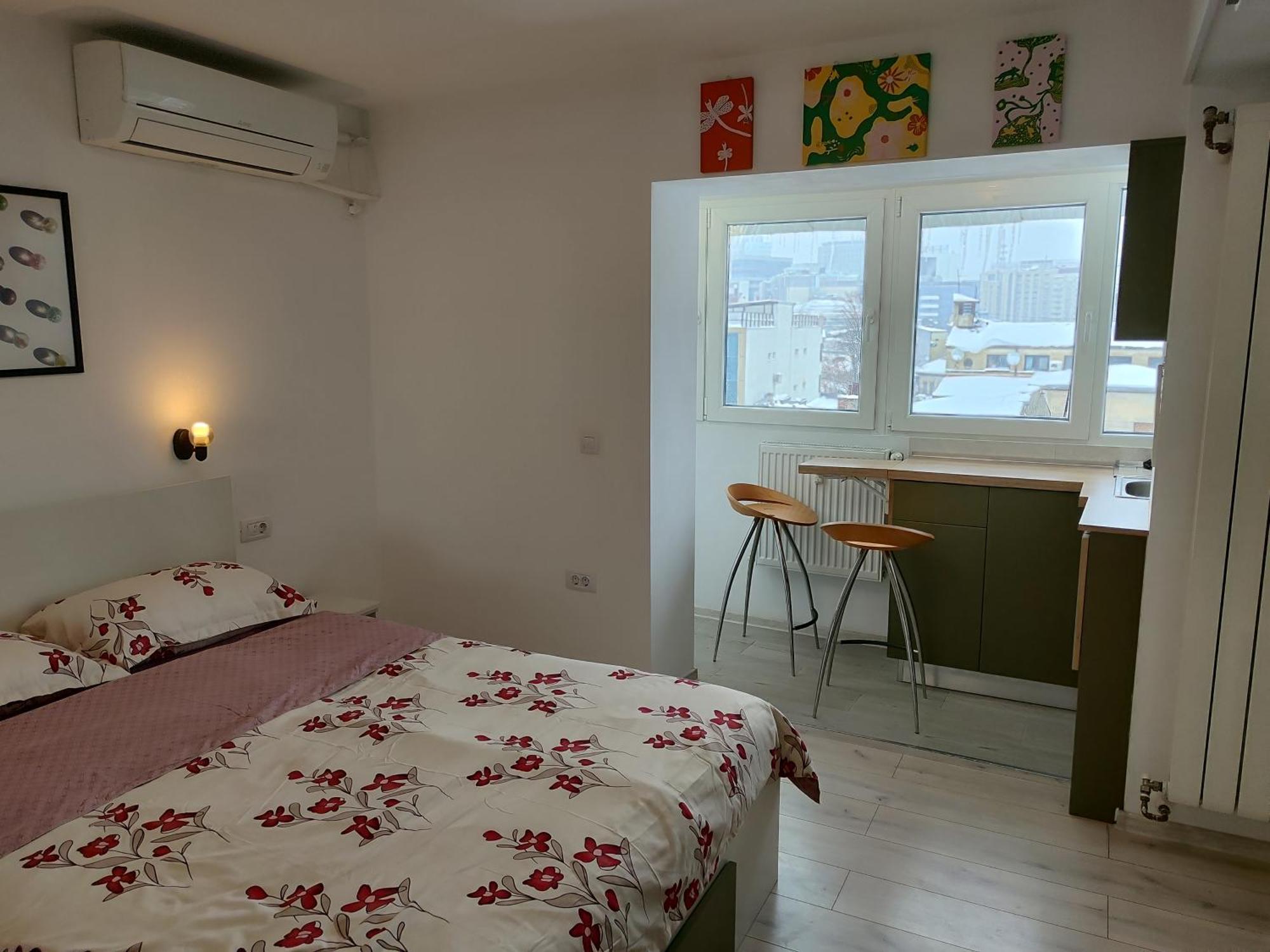 Cochet Piata Victoriei Apartment