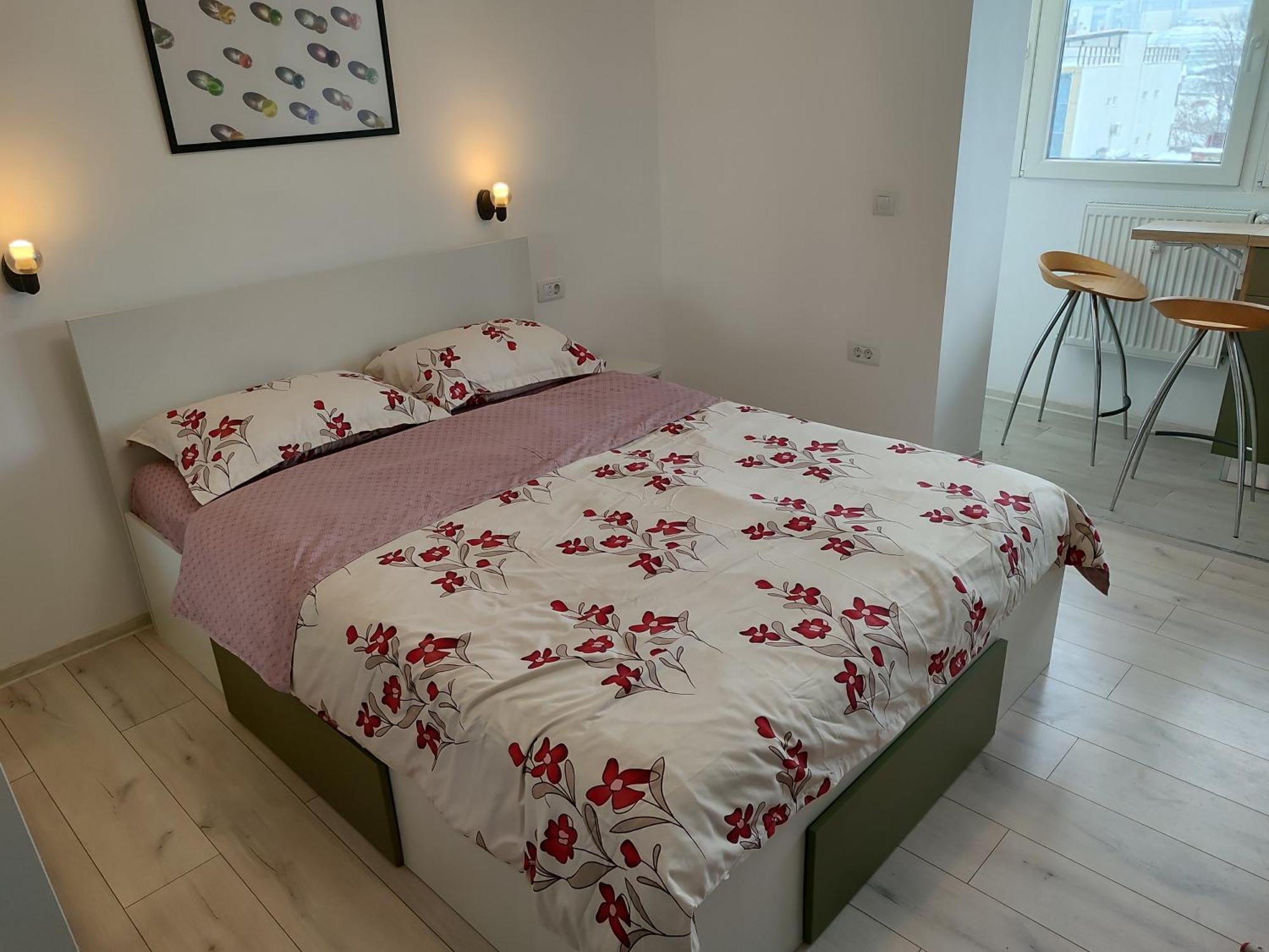 Apartment Cochet Piata Victoriei *